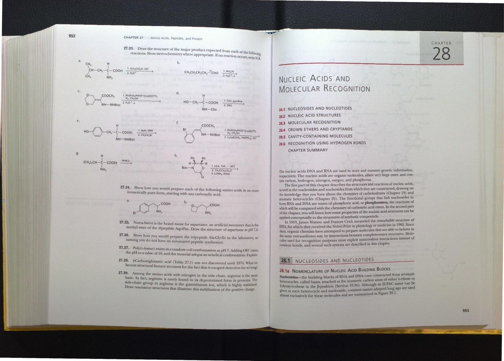 Sorell Organic Chemistry