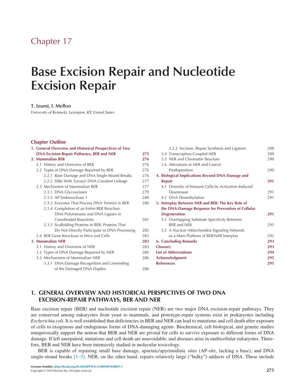 Chapter 17 - Base Excision Repair and Nucleotide Excision Repair