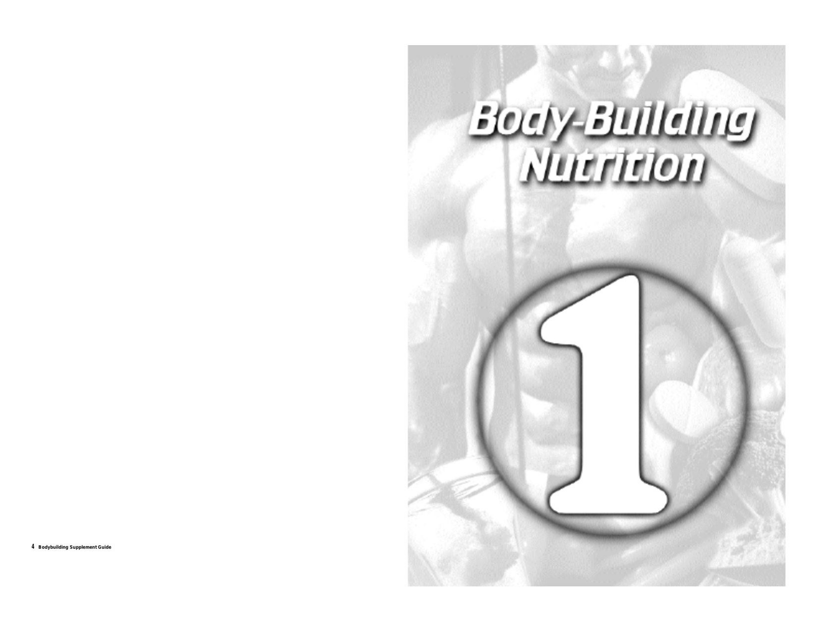 Bodybuilding Supplement Guide