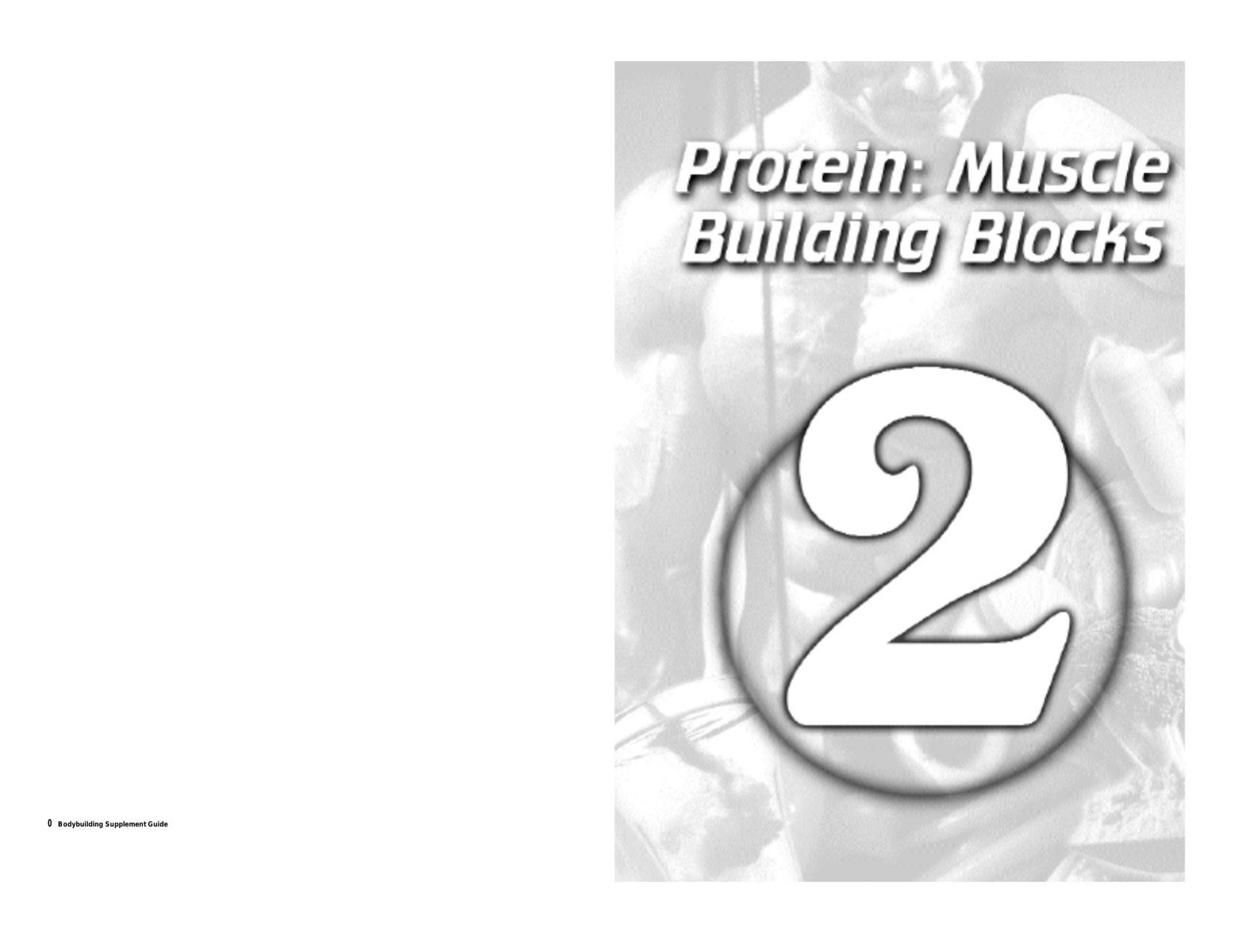 Bodybuilding Nutrition-Protein