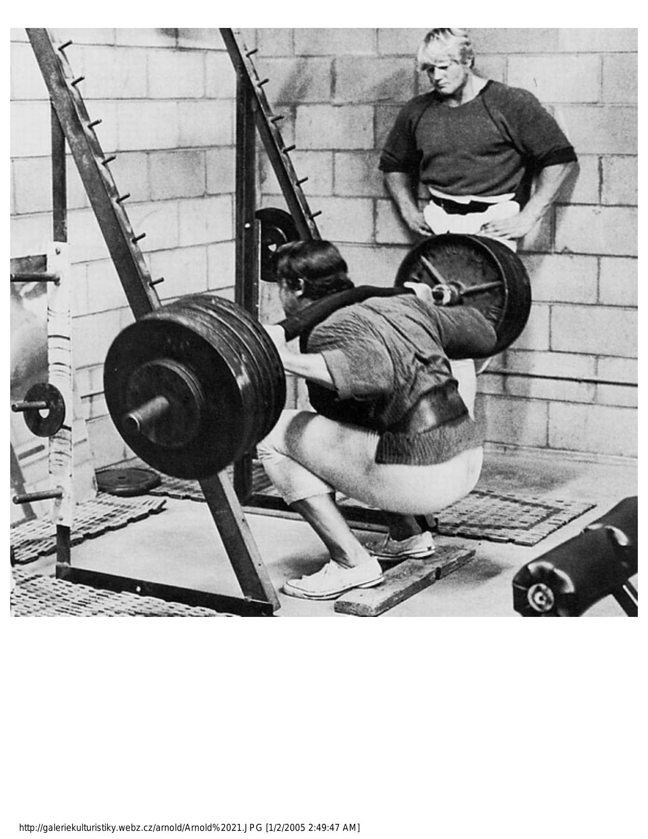 Bodybuilding.com - Exercise Guides Database - Printable Page