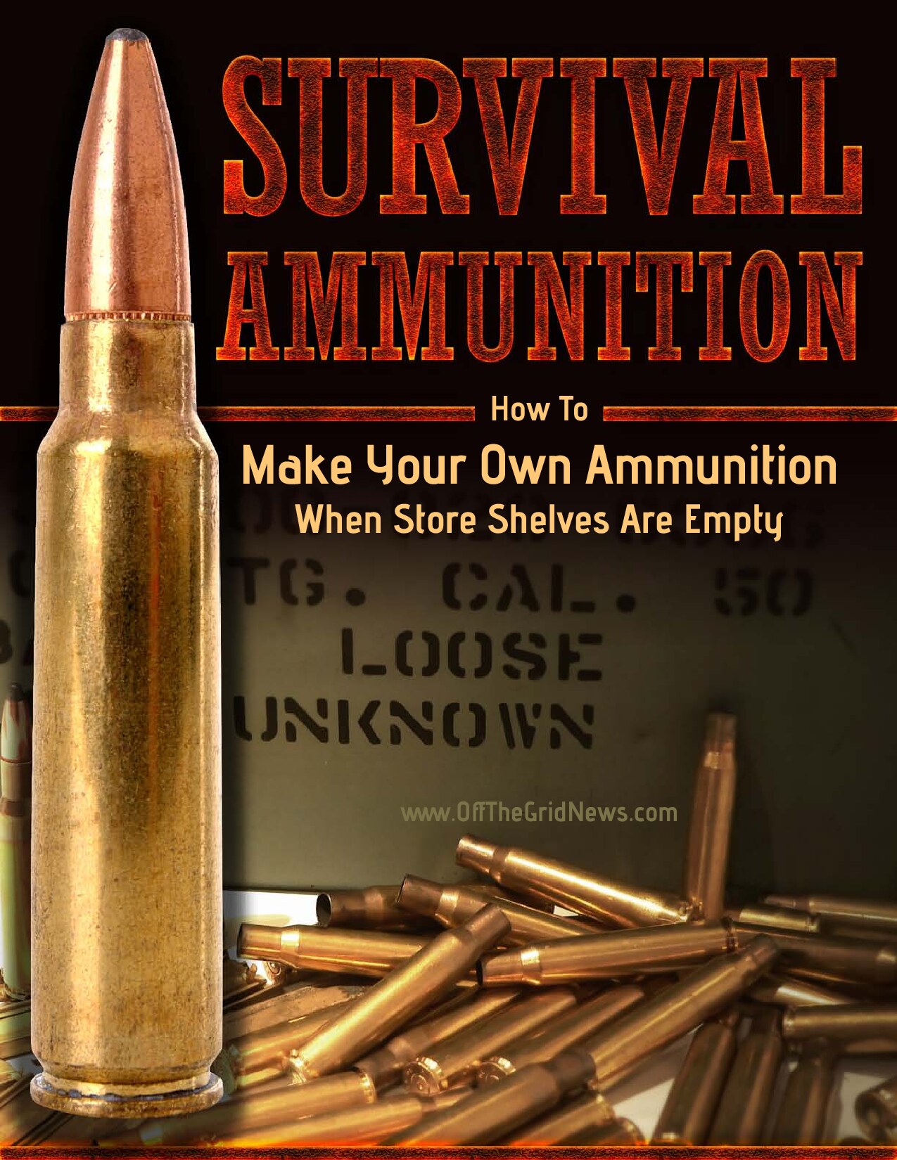 Survival_Ammunition_Report