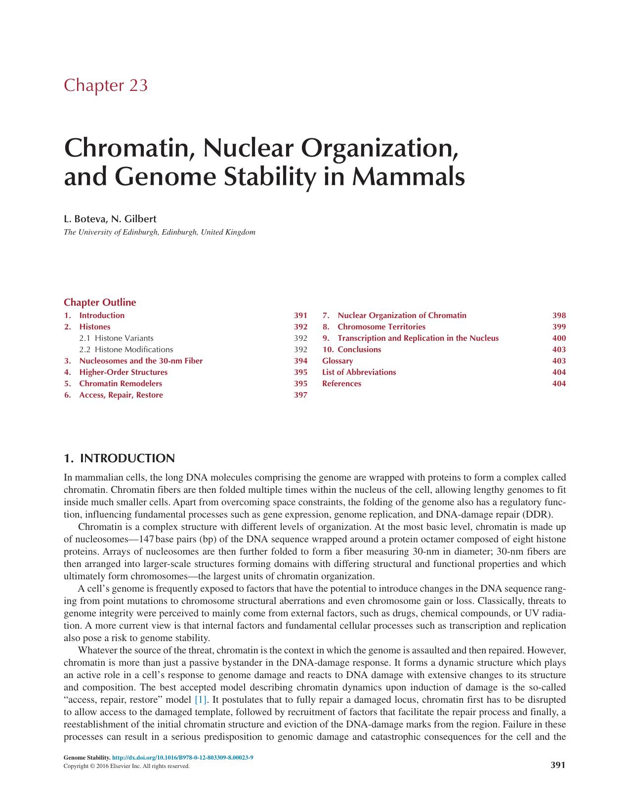 Chapter 23 - Chromatin, Nuclear Organization, and Genome Stability in Mammals