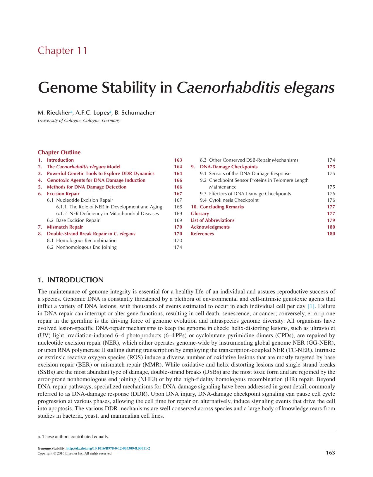 Chapter 11 - Genome Stability in Caenorhabditis elegans
