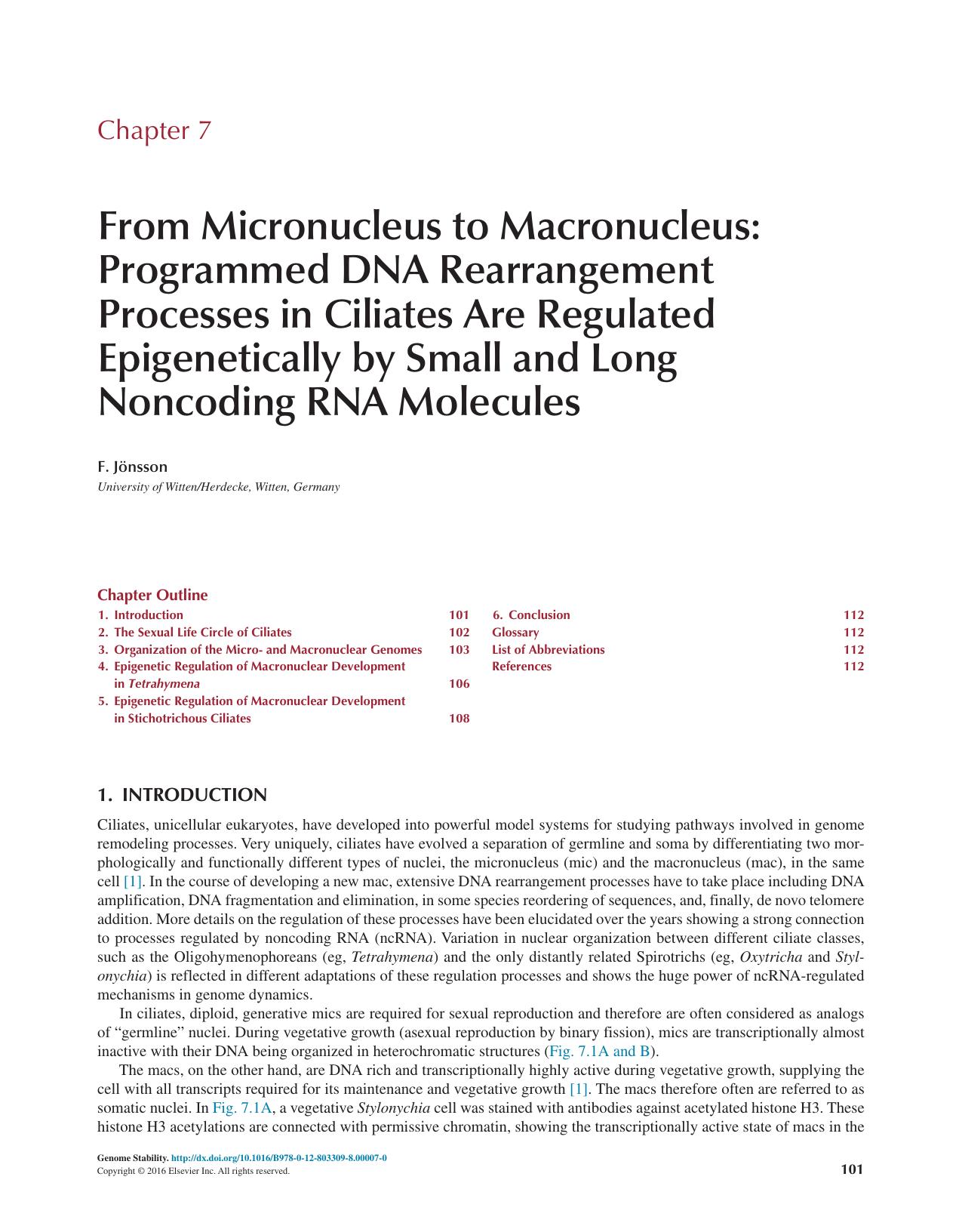 Chapter 7 - From Micronucleus to Macronucleus: Programmed DNA Rearrangement Processes in Ciliates Are Regulated Epigenetically by Small and Long Noncoding RNA Molecules