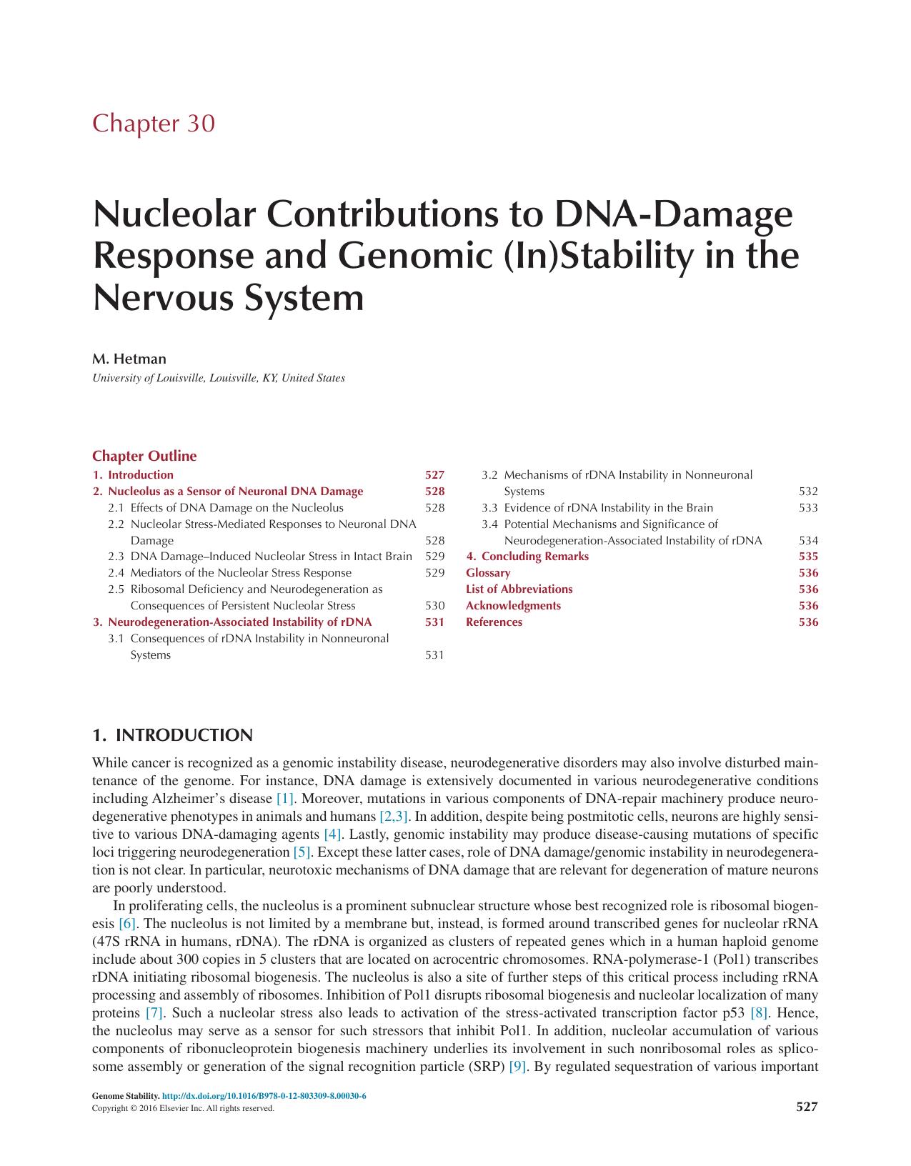 Chapter 30 - Nucleolar Contributions to DNA-Damage Response and Genomic (In)Stability in the Nervous System