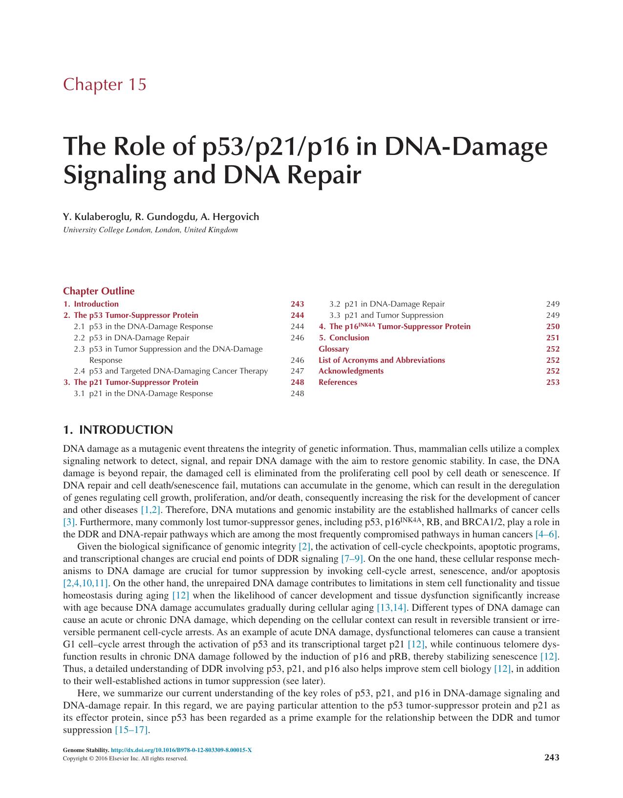 Chapter 15 - The Role of p53/p21/p16 in DNA-Damage Signaling and DNA Repair